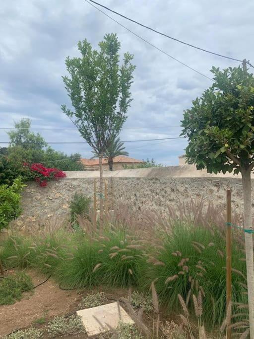 Villa 1853, Spetses Ground Floor Екстер'єр фото